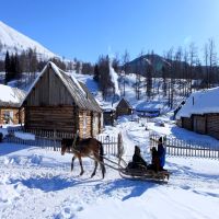 喀纳斯冰雪风情游